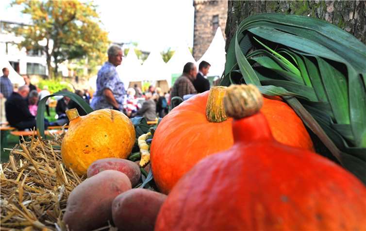 „Andernach schmeckt“: Essbare Stadt tischt auf  Am Sonntag, 3. Juli, heißt es wieder „Andernach schmeckt“. In der Bäckerjungenstadt dreht sich dann alles um kulinarische Köstlichkeiten – gewürzt mit Kunst und Kultur. Foto: Stadt Andernach/Maurer
