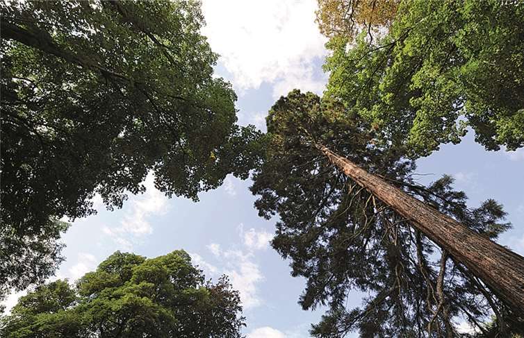 Am Sonntag, 5. Oktober findet eine Führung durch den öffentlichen Teil des Schlossparks statt. Stadt Neuwied