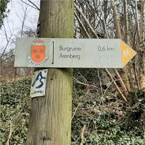 Am Sonntag, 7. August 2022, wird um 15 Uhr eine besondere Führung durch die Ruinen auf dem Aremberg angeboten. Foto: privat