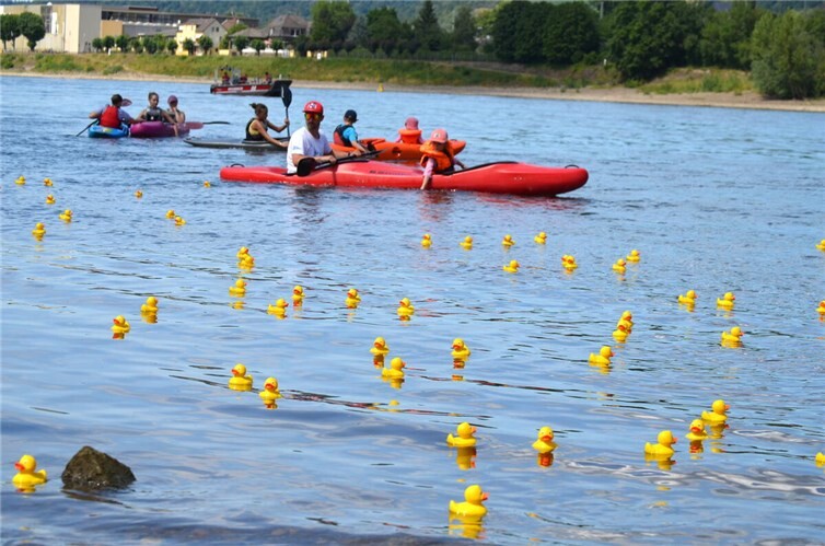 Am Sonntag fand das Entenrennen auf dem Rhein statt. Foto: AKS