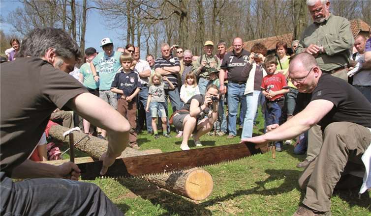 Marianne hilft beim Holzrücken