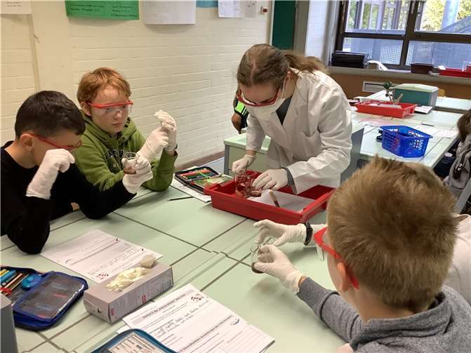 Am Städtischen Gymnasium Rheinbach fand im Rahmen von ZdI (Zukunft durch Innovation) ein Projekttag zum Thema „Inhaltsstoffe in Softdrinks: Cola, Fanta, Sprite – Was ist drin?“ statt.  Fotos: Dr. Maika Königs, Sandra Stanke