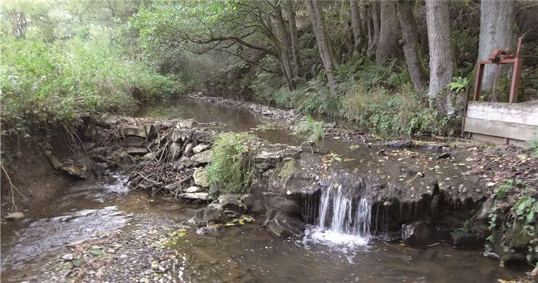 Am Stauwehr im Bereich des Dreimüllerhofs wird der Absturz beseitigt und durch eine naturnahe Rampe ersetzt. privat