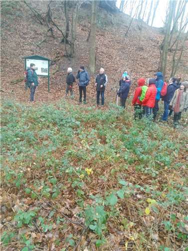 Am Steinbüschelchen erläuterte Irmgard Harst die Rolle des Basaltabbaus und die Grenzlage zwischen Dedenbach und Königsfeld. Fotos: privat