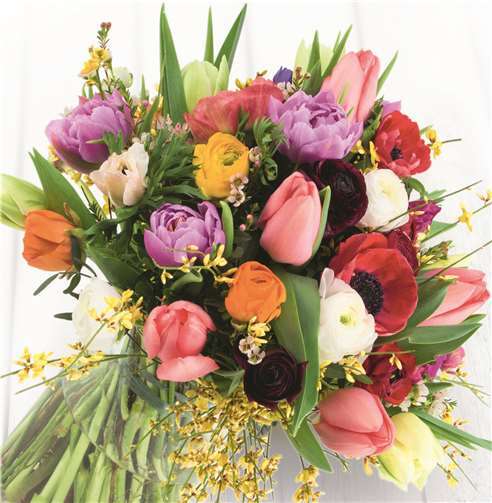 Am Wochenende lädt Blumen Risse in Neuwied zum Jubiläumsverkauf ein.Fotos: Blumen Risse.