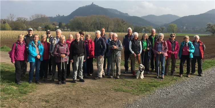 Am nördlichsten Punkt des Kreises Ahrweiler am Rheinufer bei Rolandswerth im April.