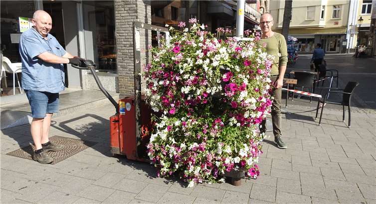 Am vergangenen Mittwoch war es so weit. Ein großer LKWkam nach Andernach und lud vier riesige Blumenampeln ab. Fotos: WAMFO.DE