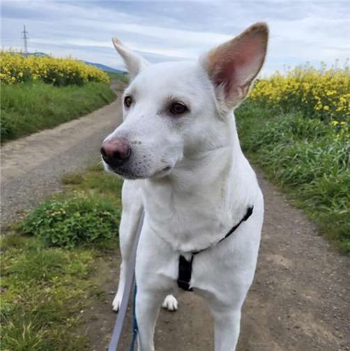 Amina (Mayen). Aus Ägypten adoptiert und 3 Jahre alt. 