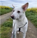 Amina (Mayen). Aus Ägypten adoptiert und 3 Jahre alt. 