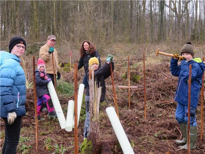 An beiden Tagen beteiligten sich zahlreiche Marienrachdorfer Mitbürgerinnen und Mitbürger sowie Jugendliche und Kinder an der Pflanzaktion.Quelle: Ortsgemeinde Marienrachdorf