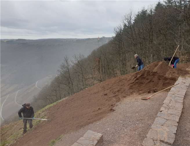 An dem Aussichtspunkt am Bremmer Calmont soll bald wieder ein grüner Rasen blühen. Fotos: privat