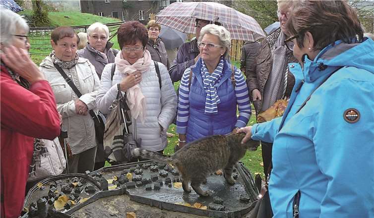 An dem Modell innerhalb der Burganlage hat sich liebevoll eine Katze zu den Damen aus Kettig gesellt.privat
