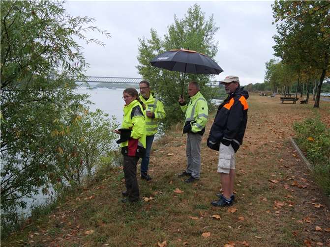 An der Rheinpromenade in Engers werden die Uferböschungen zurückgeschnitten (v.l.): Katja Pies vom Bundesforst, Lothar Nies vom WSV, Thomas Riehl von den SBN und Martin Schmidt vom WSV treffen sich zur Begehung.  Foto: Dennis Steinhardt/SWN