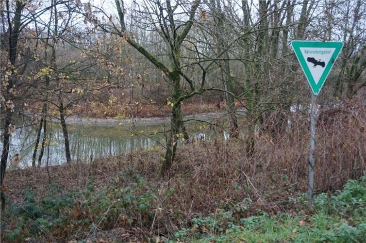 An diesem Weiher in Sankt Augustin-Menden fanden Spaziergänger persönliche Gegenstände des Opfers. Foto: STUKO