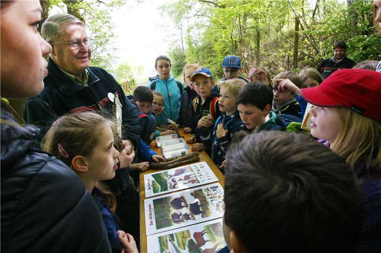 An dieser Station wurden Kenntnisse über die Tiere des Waldes abgefragt.