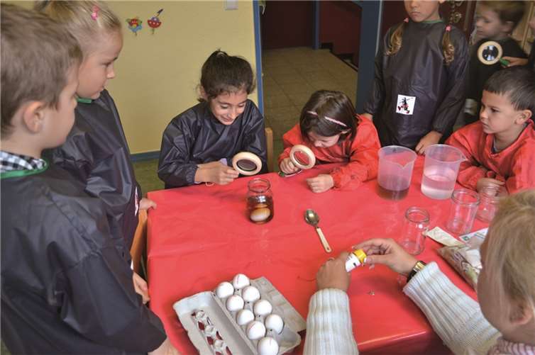 An drei verschiedenen Vormittagen machte sich jeweils eine Klasse der Grundschule auf, um entweder in Gondorf oder in Kobern mit den Schulkindern des kommenden Schuljahres Experimente zu machen.privat