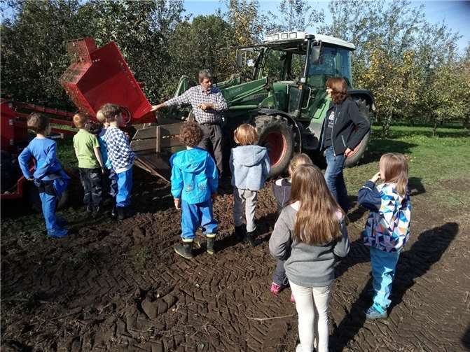 An einem sonnigen Herbstnachmittag durften die Kinder an der Apfelernte mitirken. Quelle: Ortsgemeinde Kettig