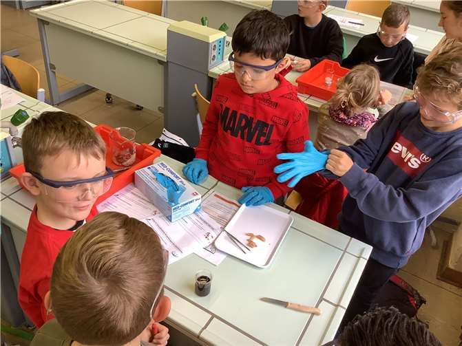 An einzelnen Stationen wurden Versuche zum Thema durchgeführt.