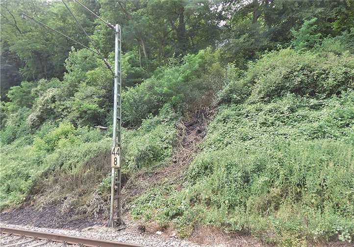An fünf Stellen, zwischen Remagen und Sinzig, brannte es. Die Feuerwehr konnte schlimmeres vermeiden.