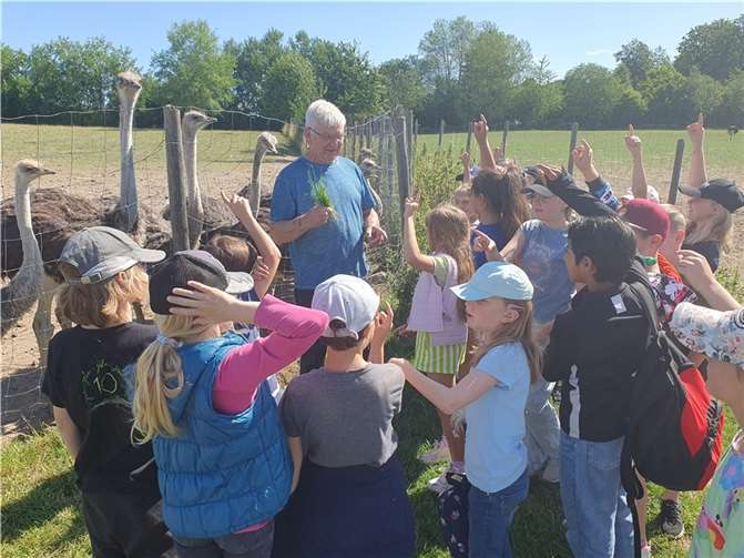 An jedem Haltepunkt konnten die Schülerinnen und Schüler viele interessante Fakten über diesen außergewöhnlichen Vogel lernen, eigene Fragen stellen und sogar eine persönliche Begegnung mit den Tieren haben. Foto: Nathalie Rekus