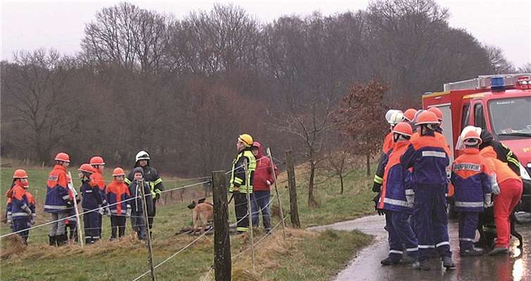 An verschiedenen Stationen zeigten die Rettungshunde ihr Können.privat