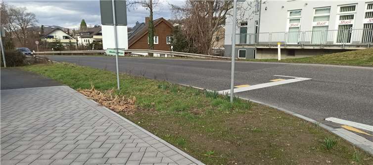 An vielen Stellen könnten weitere Bäume nicht nur zur strukturierteren Straßengestaltung eingesetzt werden. Langfristig sind Bäume, die hier in Niederbachem am Ortseingang bevorzugt gesetzt werden könnten, ein nachhaltiger Weg zum Klimaschutz. Interessierte können online weitere Standortvorschläge für ganz Wachtberg machen.Foto: privat