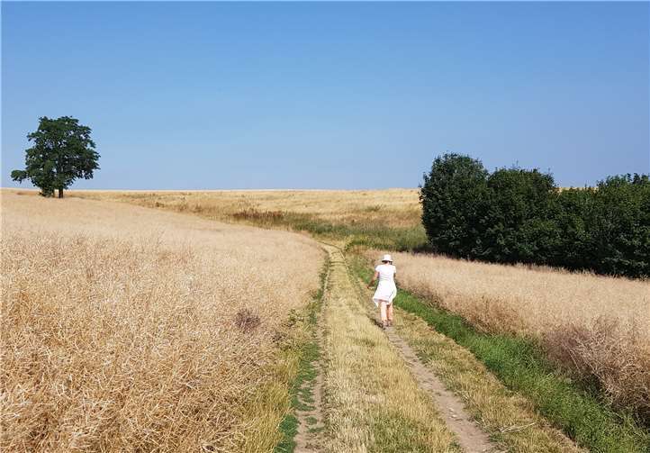 An zwei Nachmittagen sollen kreative Impulsen erkundet werden, „wie viel Fülle und Freude in unserem Leben da ist“.Foto: privat