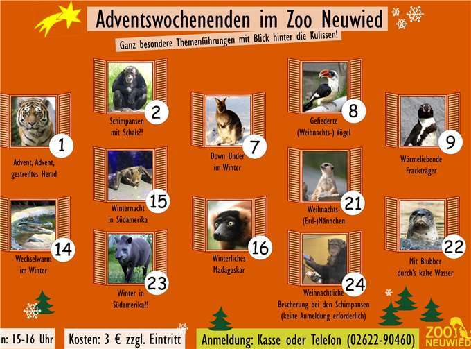 An zwölf Tagen bekommen die Besucher des Neuwieder Zoos einen ganz besonderen Einblick in das Leben der Zoobewohner. Neuwieder Zoo