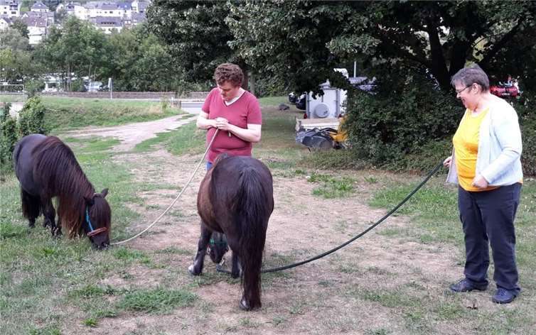 Andere genießen den Kontakt und das Erleben mit den Ponys.