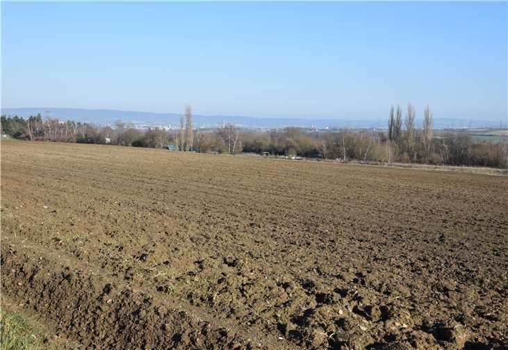 Andernach und Plaidt planen, nördlich der B 256 zwischen Miesenheim und Plaidt, ein interkommunales Gewerbegebiet anzusiedeln. Foto: UBU