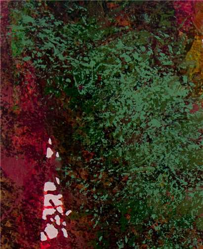 André Contensaux zeigt in seinen Bildern Impressionen von der Forschung des Waldes. André Contensaux