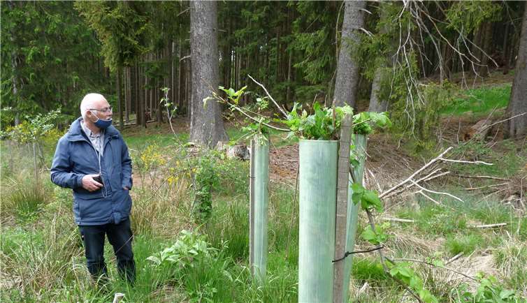 Andreas Owald kann es kaum glauben:Wildschäden an Bäumchen. Fotos: Winfried Sander/BUND