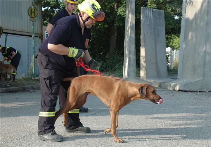 Andreas und Basihma bei einer Übung.