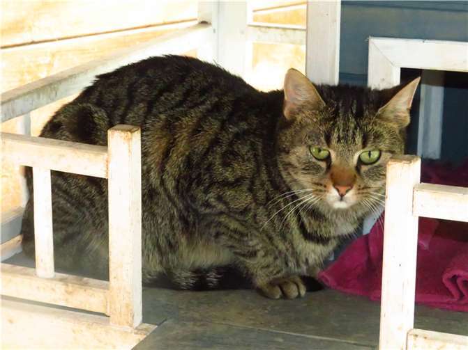 Anela. Fotos: privat