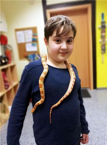 Anfangs waren die Hortkinder skeptisch, doch dann trauten sie sich, mit Picasso auf Tuchfühlrung zu gehen. Fotos: privat