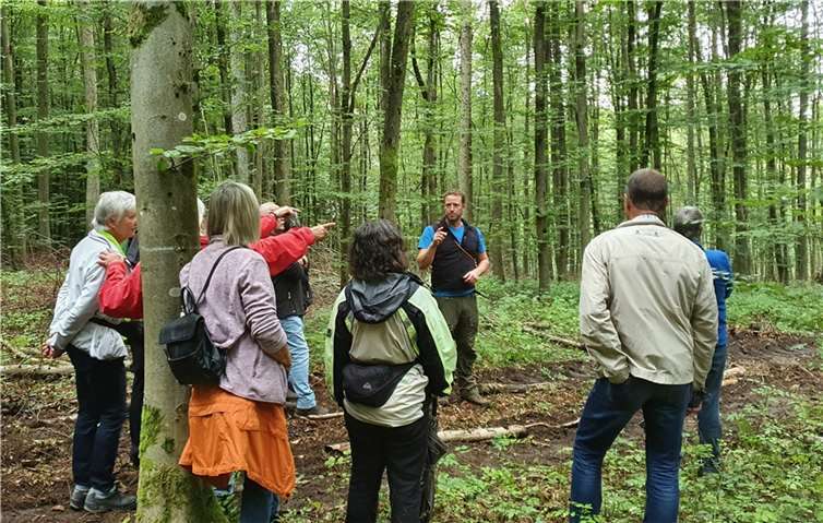 Anhand einer Rückegasse im Stadtwald Bendorf erläutert Revierleiter Johannes Biwer den Teilnehmern das System der bodenschonenden Waldbewirtschaftung mittels Feinerschließung. Foto: Landesforsten.RLP.de / Gesche Böbinger
