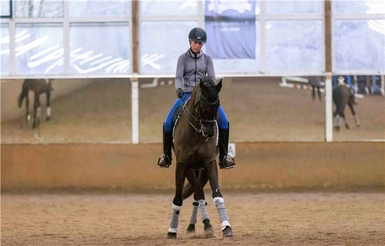 Ann-Christin Camp mit dem Trakehner Charly.