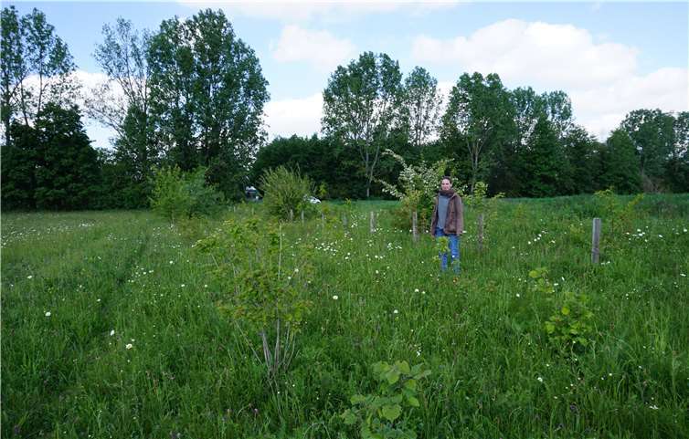 Anna Lena Müller kontrolliert, wie es um die Ausgleichsfläche bei Essig steht. Foto: Gemeinde Swisttal