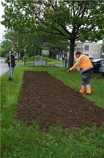 Anna Lena Müller und ein Mitarbeiter des Bauhofs beim Anlegen der Blühfläche vor dem Swisttaler Rathaus.Foto: privat