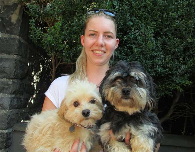 Anna-Maria Bach vom Veterinäramt der Kreisverwaltung mit zwei Mischlingshunden, die in gute Hände vermittelt werden sollen.Foto: Pressestelle der Kreisverwaltung