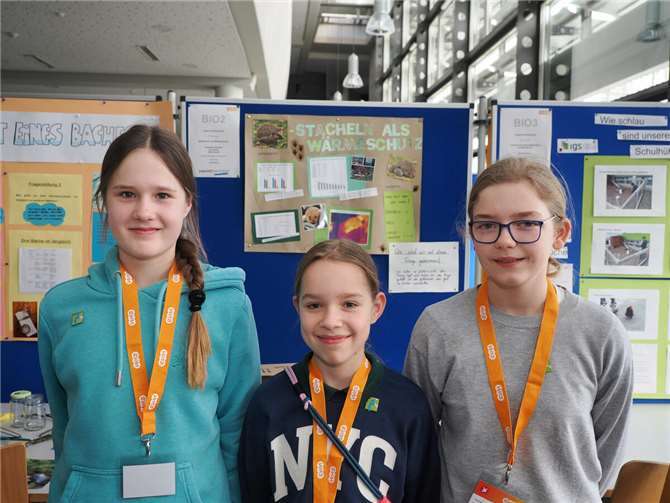 Annalena Günther, Eva Zwick und Mia Emmel untersuchten in ihrer Arbeit „Igelstacheln als Wärmeschutz?“ im Fachgebiet Biologie, für die sie einen 2. Preis erhielten.