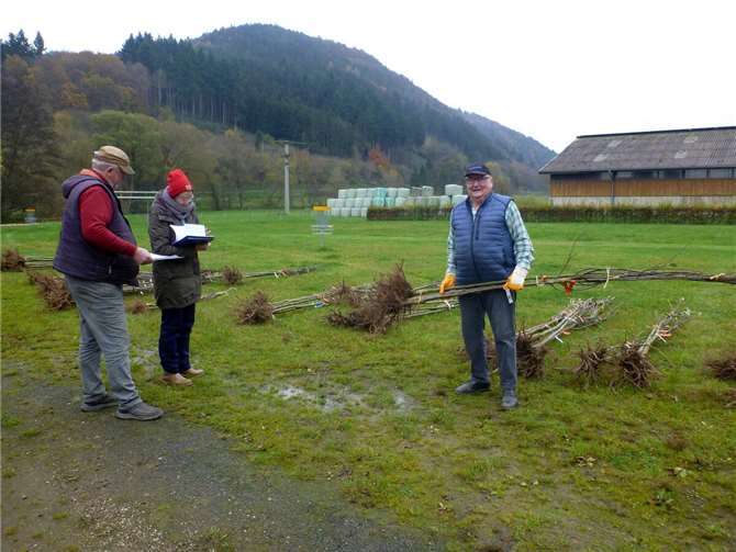 Anne Bayer 2024 bei der Ausgabe der Obstbäumchen in Dümpelfeld-Niederadenau. Foto: Winfried Sander