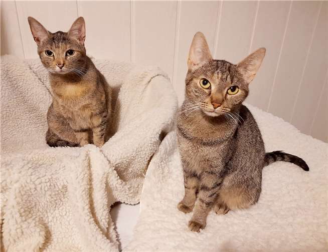 Anouk (links) und Tammy.  Fotos: privat