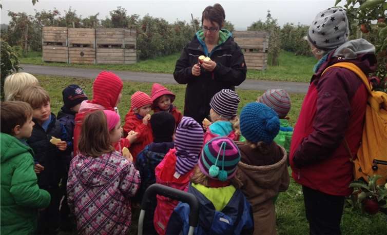 Anschaulich wurde den kleinen Besuchern alles rund um den Apfel erklärt. privat