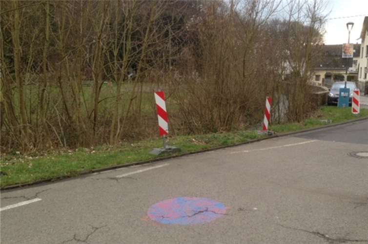Anstatt der hässlich verbeulten Leitblanken stehen nun seit Monaten unschöne Warnparken. privat