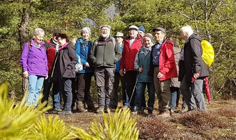 Anstatt einer Brotzeit erfreuten sich die Fastenwanderer auf dem Blöskopf an der herrlichen Aussicht. Privat