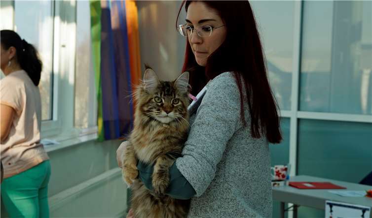 Anstrengend und aufregend ist dasWarten auf die Bewertung.