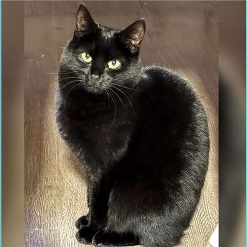 Antonia. Foto: privat