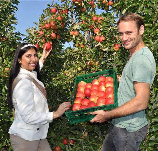 Apfelernte in Meckenheim: Blütenkönigin Bahar Ülker und Philip Wißkirchen vom Obsthof Wißkirchen in Ersdorf.Quelle: Stadt Meckenheim