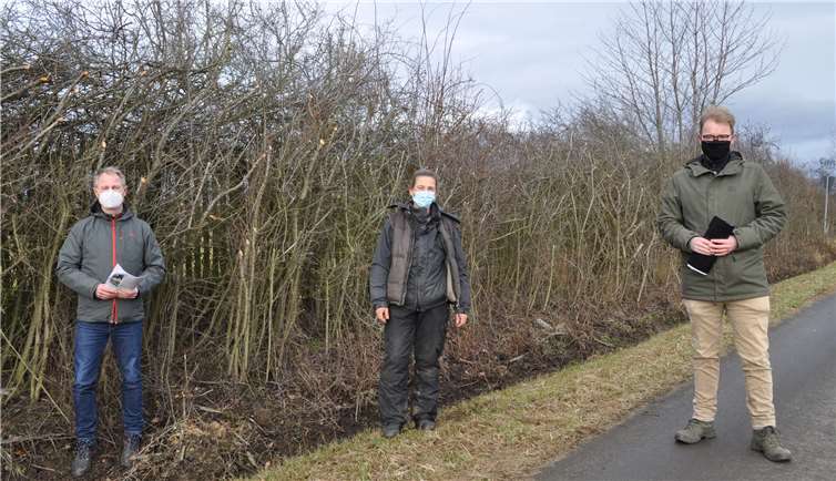 Arbeiten eng zusammen: (v.l.) Ullrich Hagedorn, Barbara Bouillon und Steffen Steenken. Foto: Stadt Meckenheim